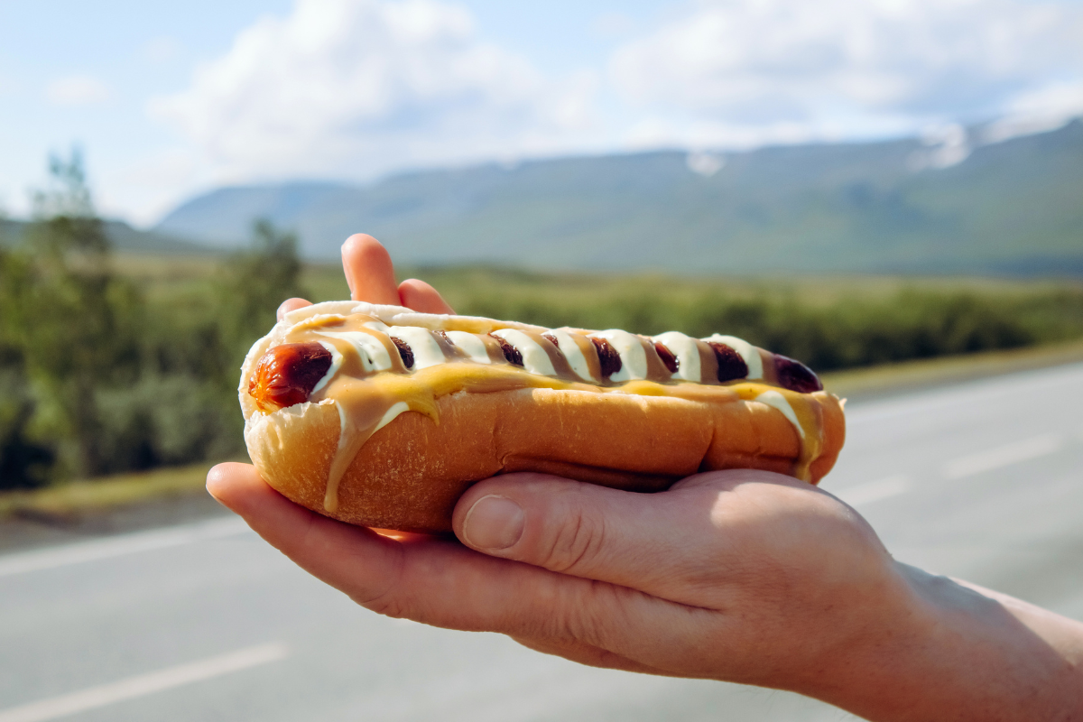 Pylsur Icelandic hot dog on the road