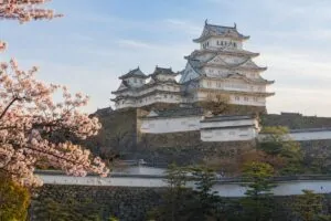 A Himeji-kastély cseresznyevirágzás idején Japánban