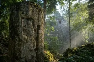 Faragott maja sztélé és templomrom a guatemalai esőerdőben