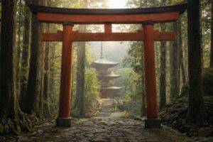 Vörös torii kapu és többszintes pagoda ködös japán cédruserdőben