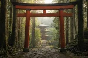 Vörös torii kapu és többszintes pagoda ködös japán cédruserdőben