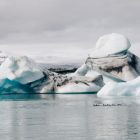 Jökulsárlón gleccsertő jégtömbökkel és kacsákkal