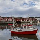 Svolcaer kikötője, Lofoten